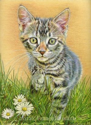 Daisy Days2
Daler-Rowney Pastel Paper
12" x 9"
Gold - 50 days (Laila's 1st litter) Daisy Days2
Daler-Rowney Pastel Paper
12" x 9"
Gold - 50 days (Laila's 1st litter)